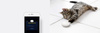 Flood Sensor FIBARO FGFS-101 ZW5 czujnik zalania ZWave