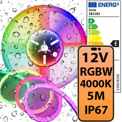Taśma LED COB RGBW IP67 784D 12V 16W 4000k Światło kolorowe wodoodporne